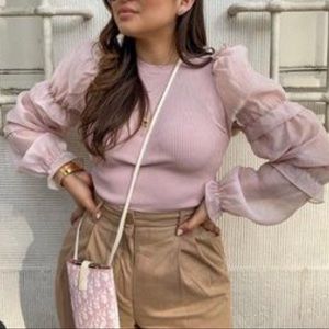 Zara Organza Knit Top in Pink